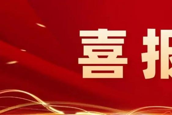 喜報丨壽光市魯麗木業(yè)股份有限公司入選“2024年山東省管理標桿企業(yè)”